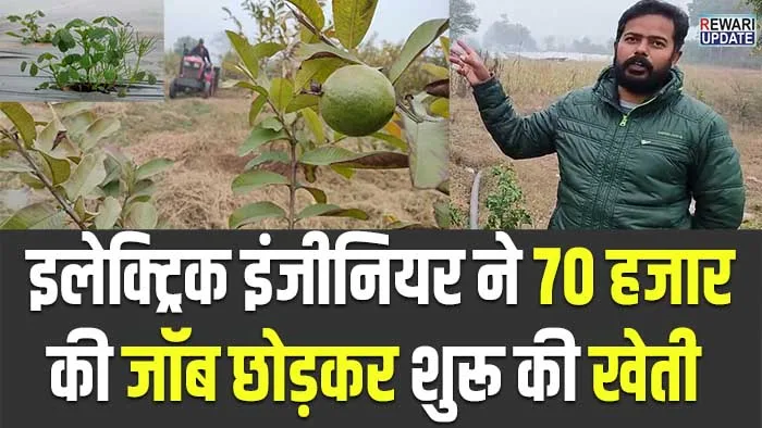 organic farming