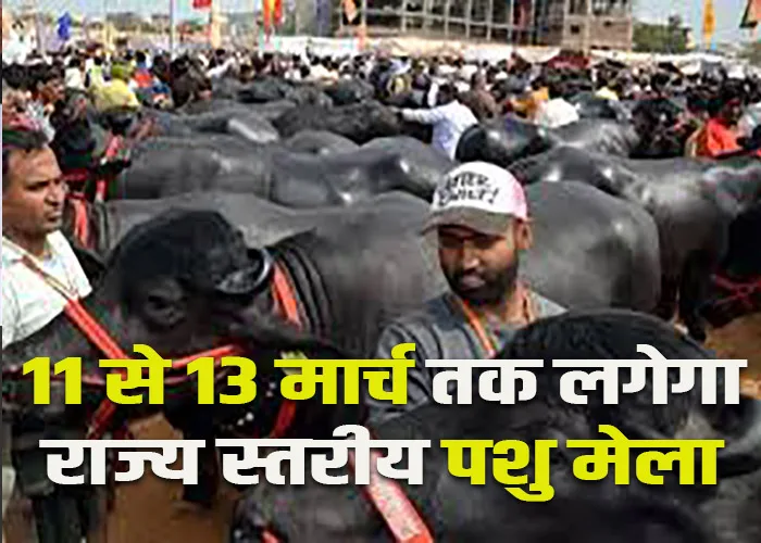 haryana