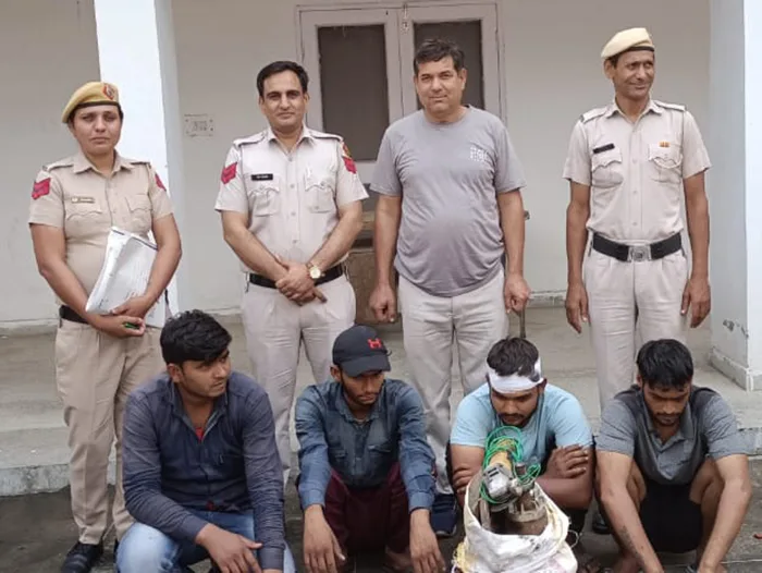rewari
