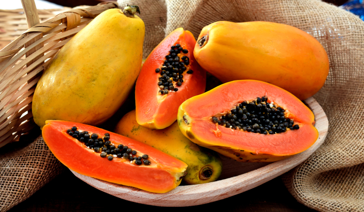 Papaya Health Benefits: सर्दियों में ये मीठा फल खाएं, मिलेगा वजन कम करने समेत कई फायदे