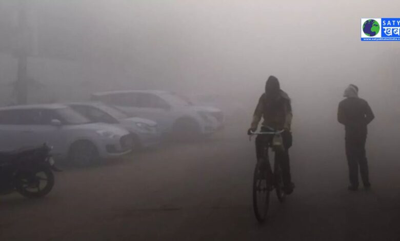 Punjab Weather: पंजाब में शीतलहर का प्रकोप, अमृतसर और फरीदकोट शिमला से भी ठंडे, रविवार को बारिश की संभावना