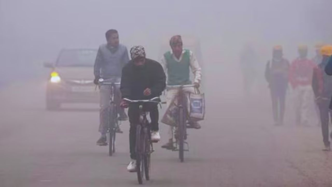 Punjab Weather: पंजाब में शीतलहर का प्रकोप, अमृतसर और फरीदकोट शिमला से भी ठंडे, रविवार को बारिश की संभावना