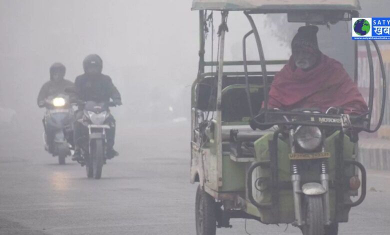 Punjab Weather Update: पंजाब में शीतलहर का प्रकोप, फसल और सब्जियों के लिए लाभकारी