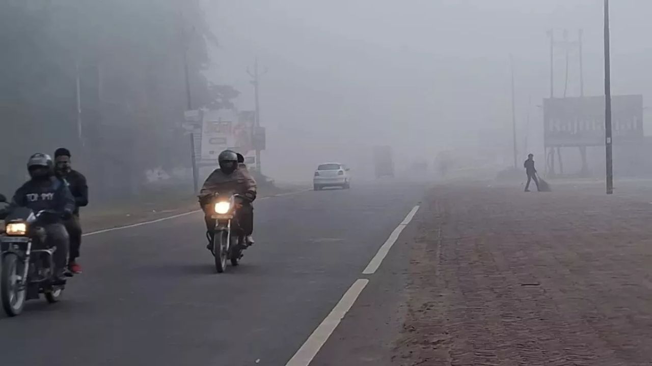 Punjab Weather Update: पंजाब में शीतलहर का प्रकोप, फसल और सब्जियों के लिए लाभकारी