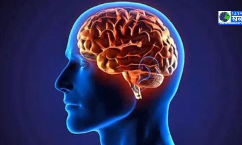 भारत में Brain stroke उपचार की स्थिति चिंता जनक, केवल एक चौथाई रोगियों को मिल पाता है समय पर इलाज