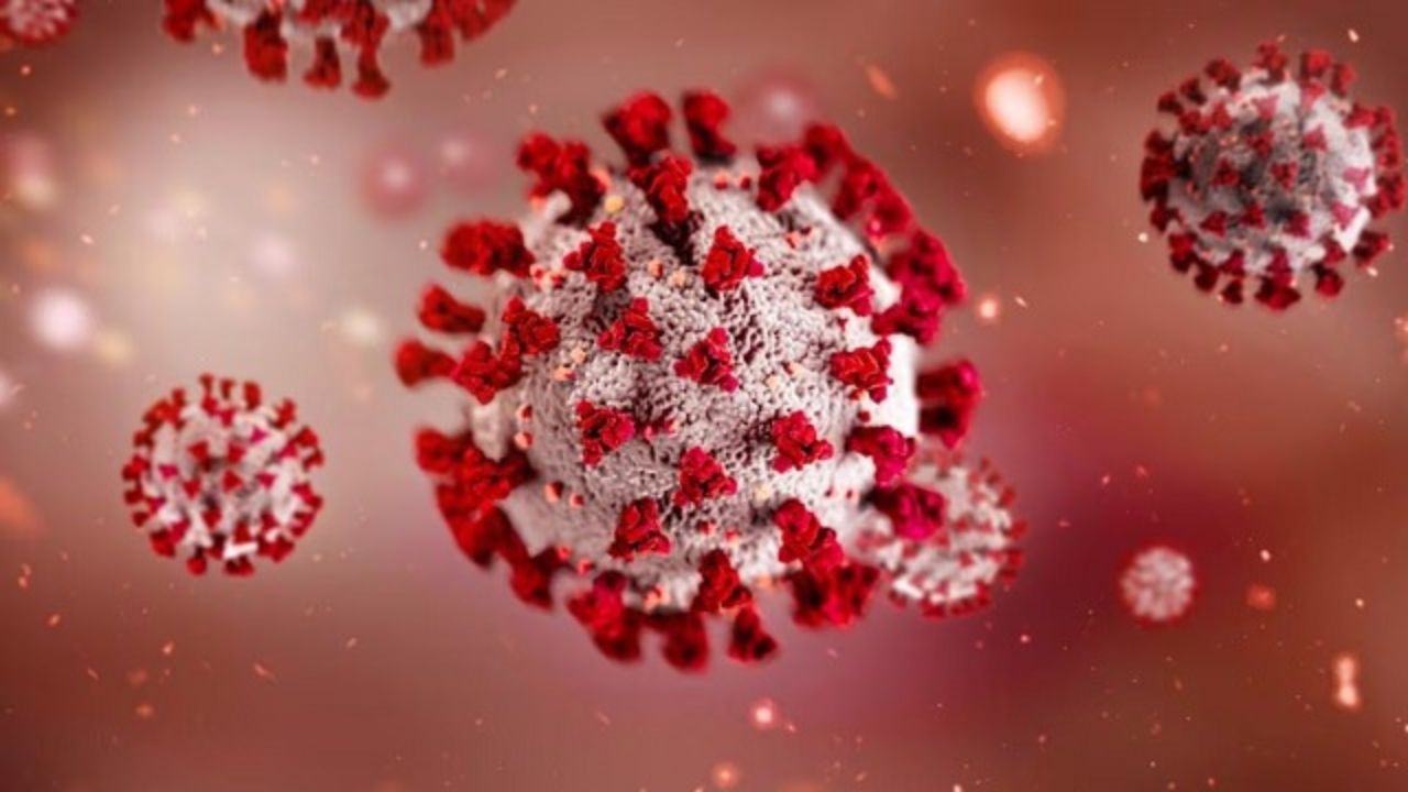 HMPV Virus: देश में बढ़ रहे ह्यूमन मेटापन्यूमोवायरस (HMPV) के मामले