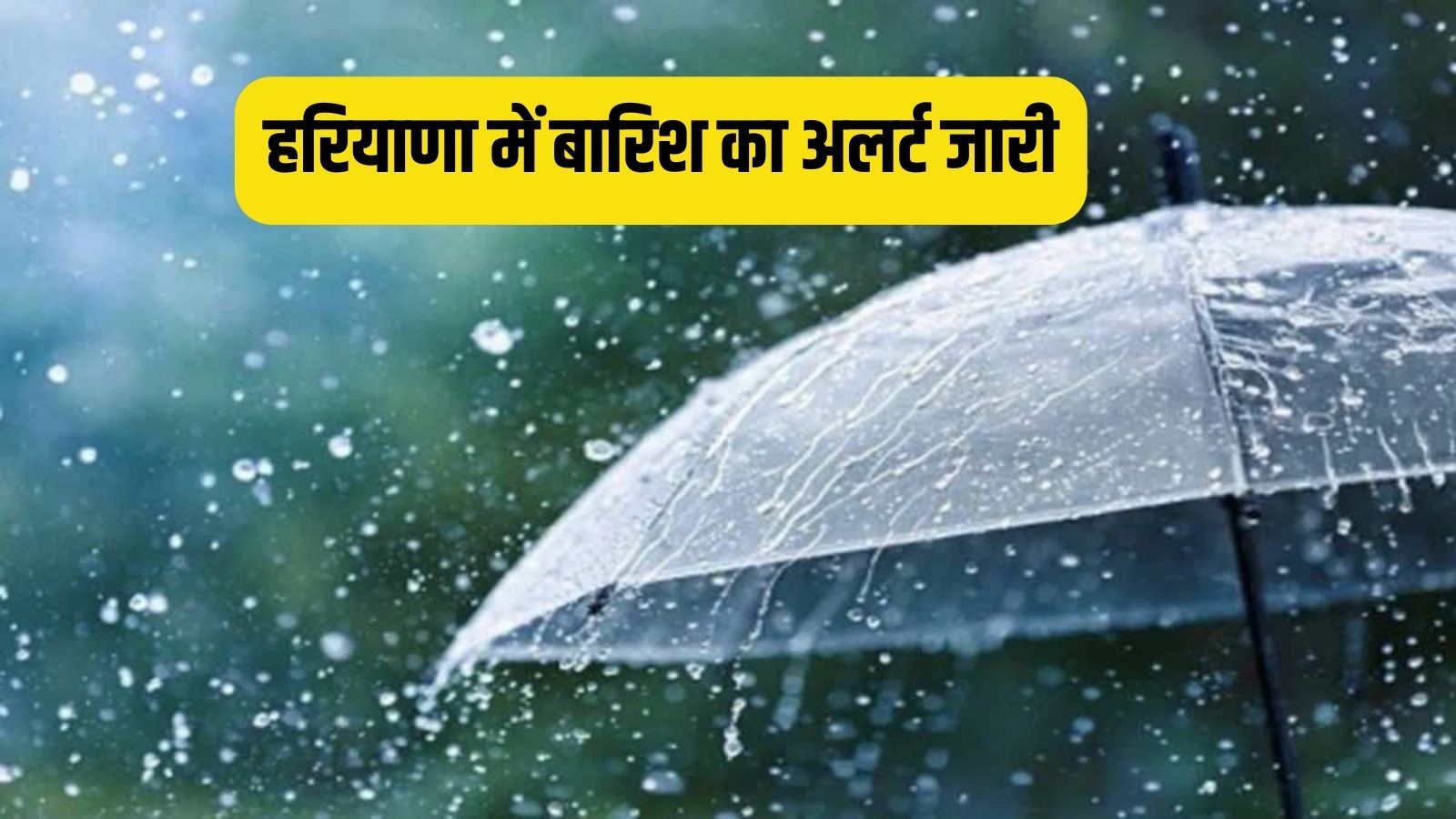 Haryana Weather Update There will be heavy rain in these districts of Haryana tomorrow, Meteorological Department has issued an alert