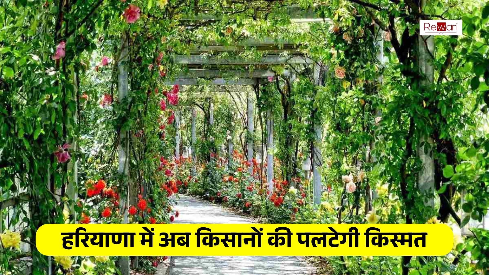 Haryana: Now the fortunes of farmers will change in Haryana, more than 200 rare herbs will grow in this village, the government has made this special plan