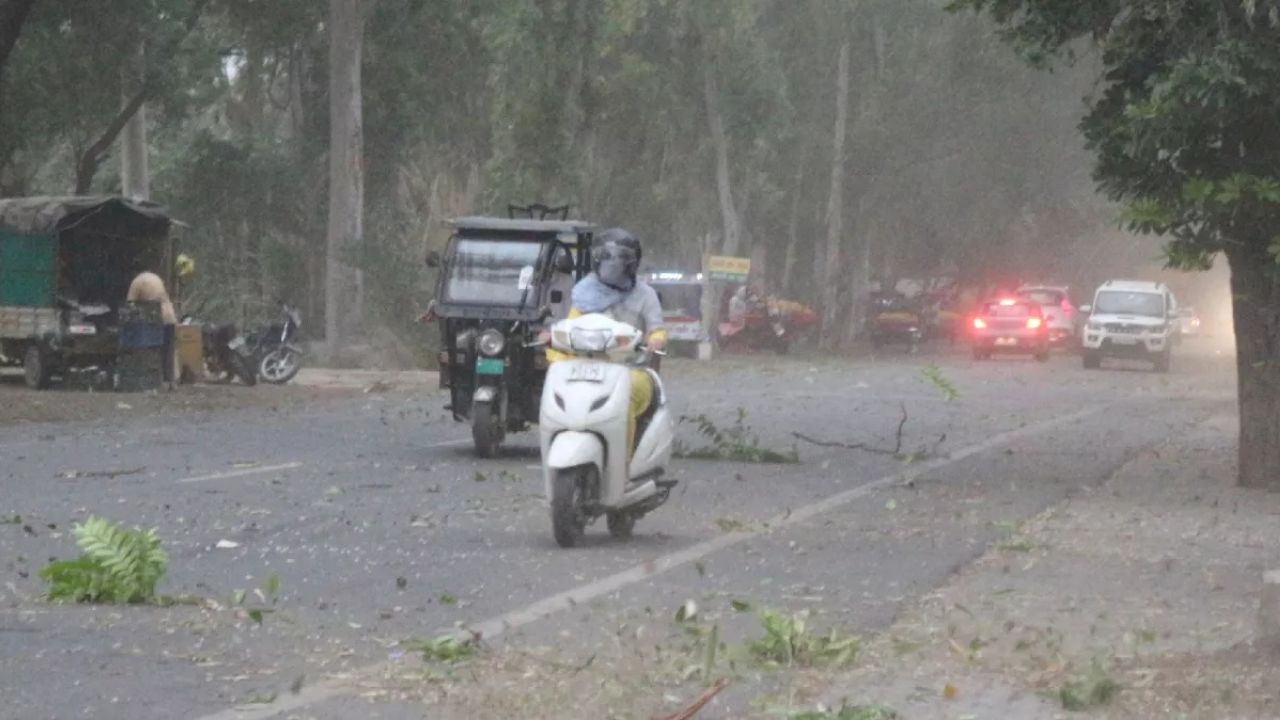 Haryana News: तेज आंधी ने मचाया तांडव सिरसा से हिसार तक पेड़ और खंभे गिरे मंडियों में भीग गए अनाज
