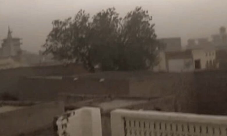Haryana News: तेज आंधी ने मचाया तांडव सिरसा से हिसार तक पेड़ और खंभे गिरे मंडियों में भीग गए अनाज