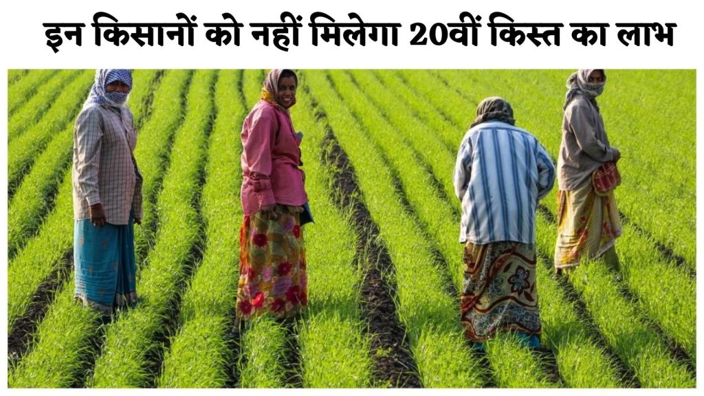 PM Kisan Yojana: किसानों के लिए बुरी खबर! इन किसानों को नहीं मिलेगा 20वीं किस्त का लाभ
