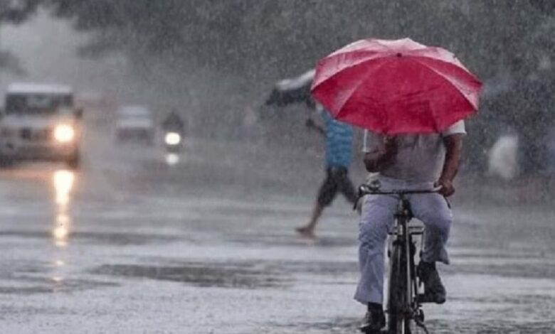 Weather Update: हरियाणा में तीन दिन मौसम का बदलेगा मिजाज, तीन मई को बारिश की संभावना
