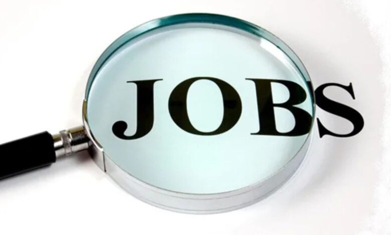 Bank Of Baroda Recruitment: बैंक ऑफ बड़ौदा में नौकरी पाने का शानदार मौका, जानिए आवेदन की पूरी जानकारी