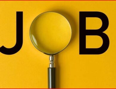 Gujarat High Court Recruitment: गुजरात हाईकोर्ट में 86 पद खाली क्या आप बन सकते हैं अगला सरकारी ड्राइवर जानिए पूरी प्रक्रिया