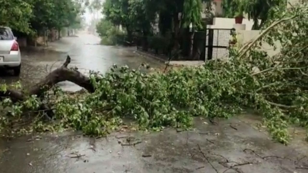 Punjab Weather News: पंजाब में अचानक बदला मौसम और तूफान ने मचाई तबाही का तांडव! तूफान के कहर ने बढ़ाई मुश्किलें