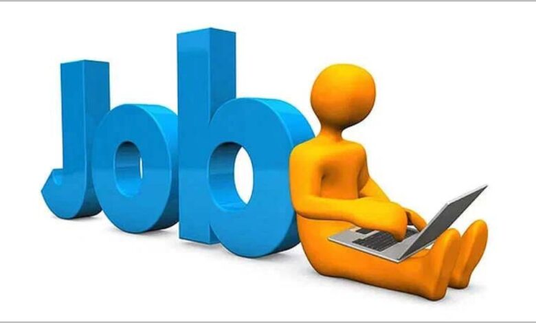 Bank of Baroda Recruitment: बैंक ऑफ बड़ौदा में 500 ऑफिस असिस्टेंट पदों पर भर्ती! जानें आवेदन करने का तरीका