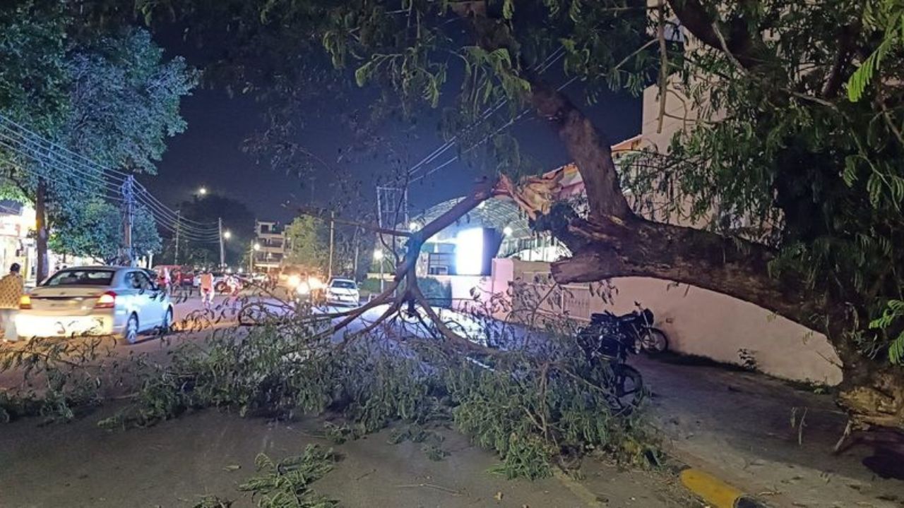 Haryana: शनिवार रात आया तूफान हिसार सिरसा फतेहाबाद में तबाही की तस्वीरें बिजली गुल और घरों में पानी