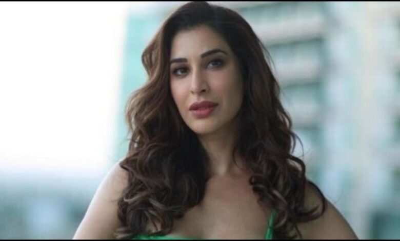 ब्रिटिश अभिनेत्री Sophie Choudry ने खोला बॉलीवुड कास्टिंग काउच का राज़, सुनिए पूरी कहानी