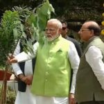 World Environment Day 2025: विश्व पर्यावरण दिवस पर PM मोदी का 'एक पेड़ माँ के नाम' अभियान और अरावली हरित दीवार का बड़ा संदेश