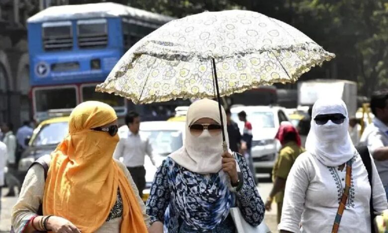 Weather Forecast: हीटवेव ने बढ़ाई अस्पतालों की चिंता, पिछले साल 48,000 बीमार और 159 मौतें