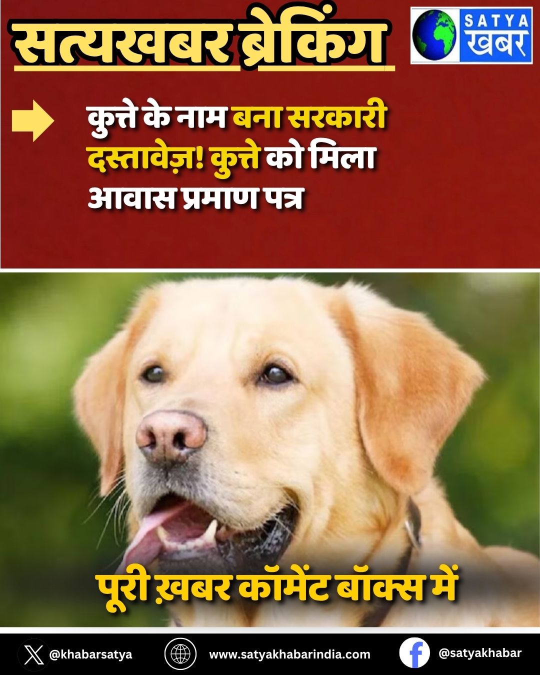 Bihar News: ?????? ?? ??? ??? ?????? ?????????! ?????? ?? ???? ???? ?????? ????