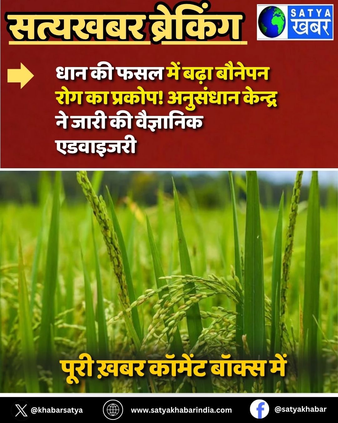 Haryana News: ??? ?? ??? ??? ??? ?????? ??? ?? ??????! ???????? ??????? ?? ???? ?? ????????? ????????