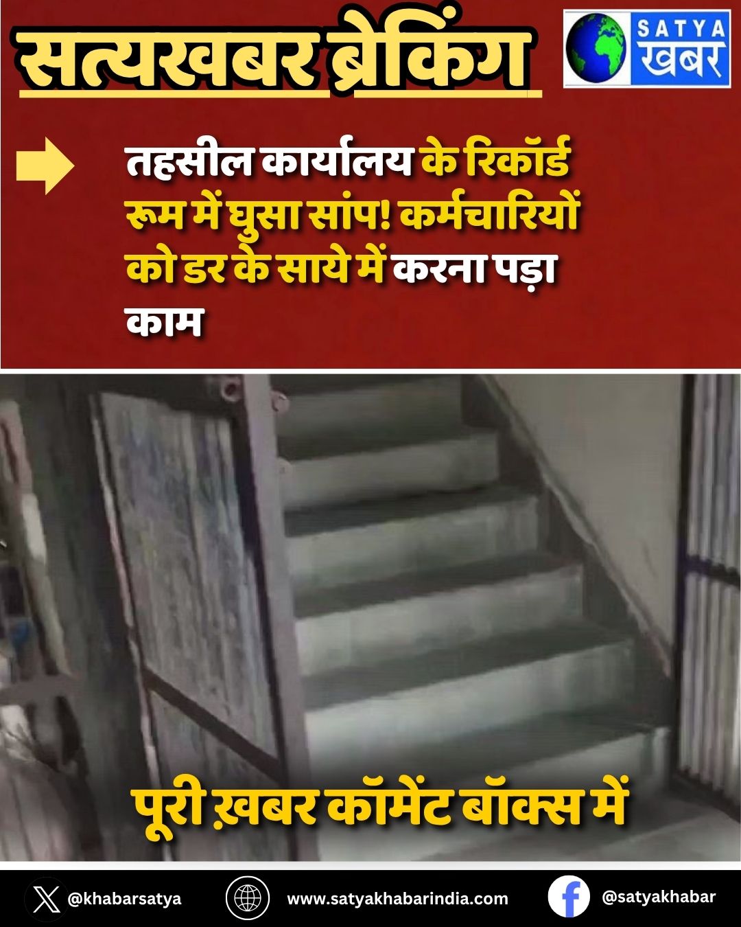 Haryana News: तहसील कार्यालय के रिकॉर्ड रूम में घुसा सांप! कर्मचारियों को डर के साये में करना पड़ा काम