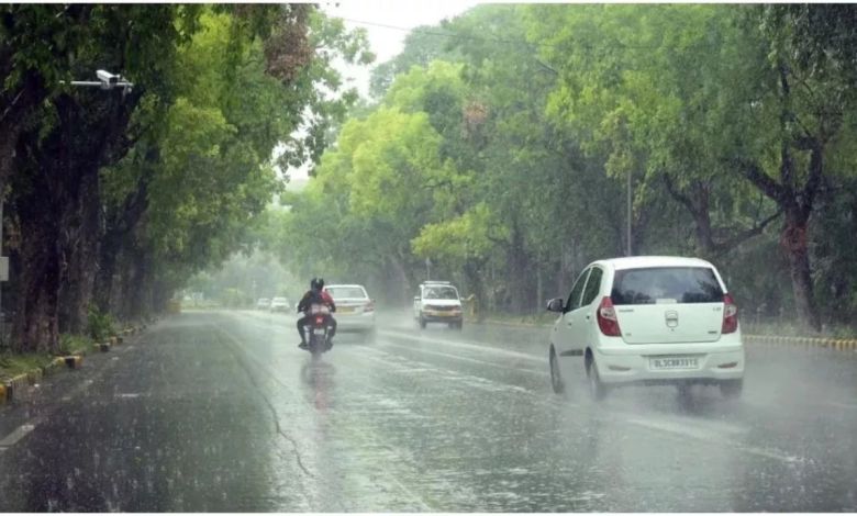 Haryana Weather: हरियाणा में मानसून की धमाकेदार एंट्री! सिरसा में डूबीं फसलें, जानें कहां कैसा रहेगा मौसम