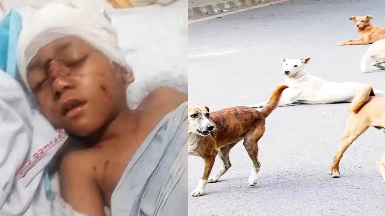Haryana News: ??????? ??? ??????? ?? ????! ?????? ??? ??? ??? ?? ????? ?? ????, ????? ?? ???? ??? ????