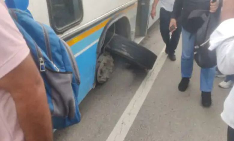 Haryana News: फतेहाबाद में बड़ा हादसा टला! ओवरब्रिज पर चलती रोडवेज बस का टायर फटा, ड्राइवर की सूझबूझ से बची सैकड़ों जानें