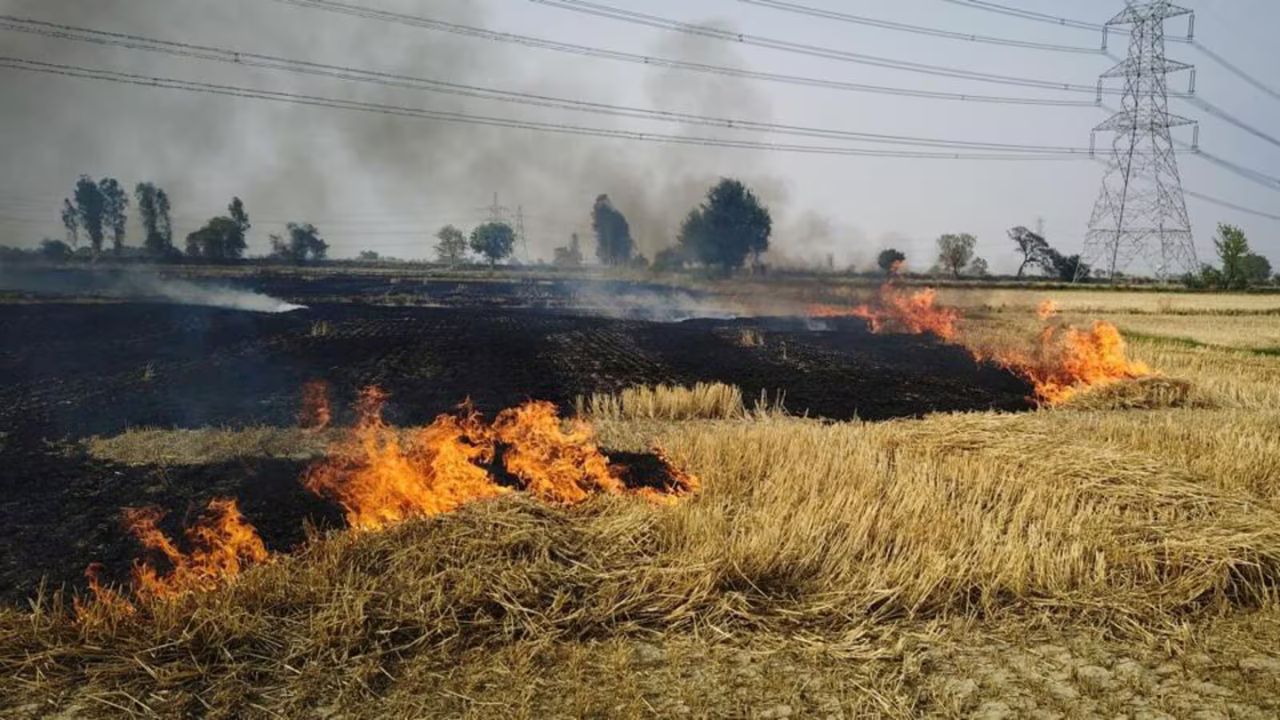 Punjab News: ????? ????? ?? ???? ????? ?????! ????? ??? ???? ???? ?? ???, ?? ???????? ????? ?? ???? ??