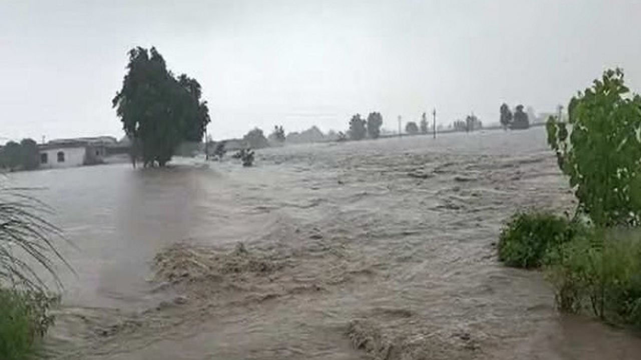 Haryana Weather: ?? ?????? ?? ???? ???? ????! 15 ????? ??? ???? ????? ?? ?????, ???? ???? ???? ?????? ?????