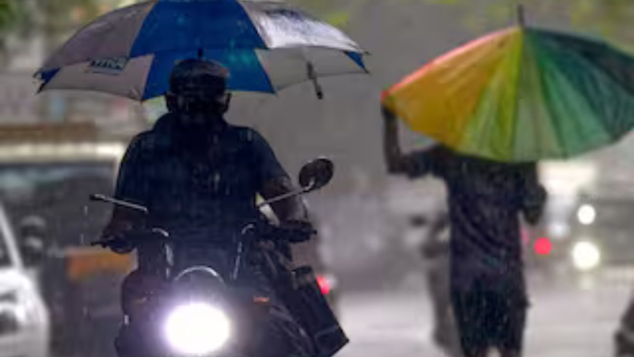 Haryana Weather: ??????? ??? ??? ??????? ????! ?????? ?? ?????? ???? ??????, ???? ????? ??? ????? ?? ????? ????
