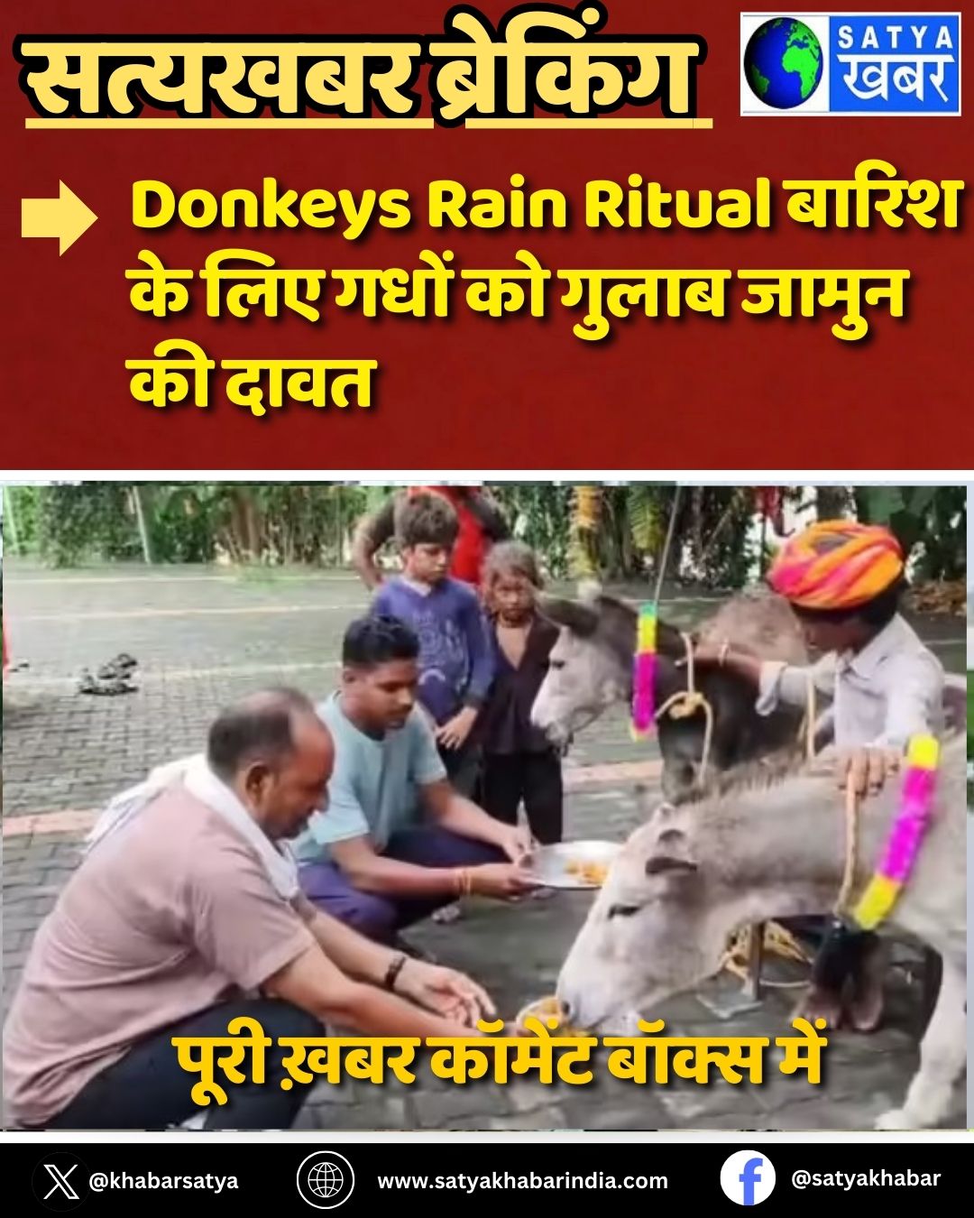 Donkeys Rain Ritual: ????? ?? ??? ???? ?? ????? ????? ?? ????