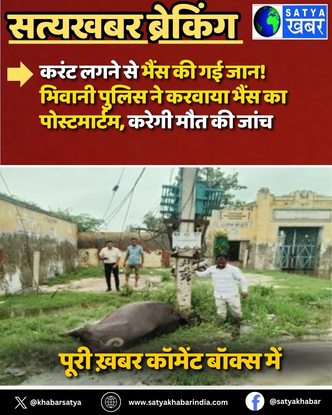 Haryana News: ???? ???? ?? ???? ?? ?? ???! ?????? ????? ?? ?????? ???? ?? ???????????, ????? ??? ?? ????