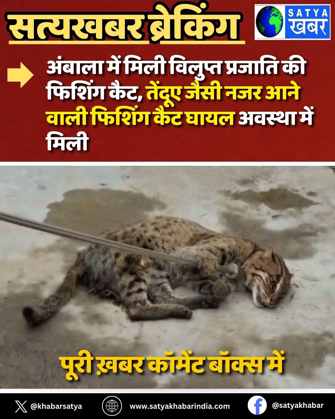 Ambala News: ?????? ??? ???? ??????? ??????? ?? ?????? ???, ?????? ???? ??? ??? ???? ?????? ??? ???? ?????? ??? ????