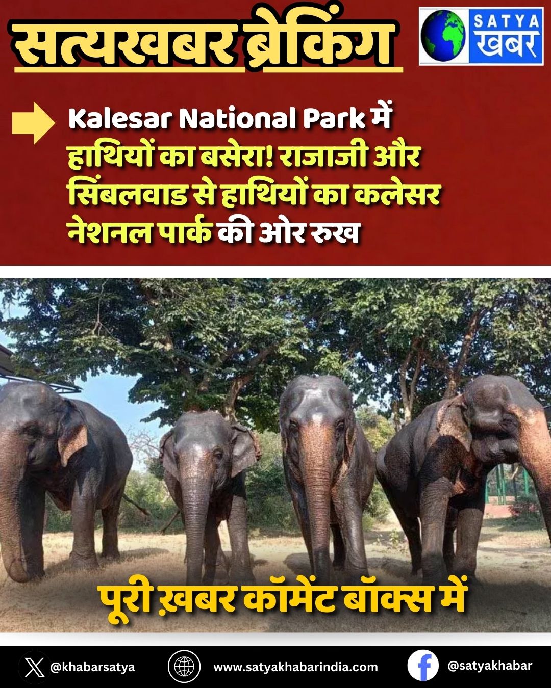 Kalesar National Park ??? ??????? ?? ?????! ?????? ?? ???????? ?? ??????? ?? ????? ????? ????? ?? ?? ???