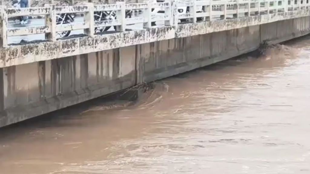 उफान पर सोम नदी और यमुना! यमुनानगर और फरीदाबाद में बाढ़ का खतरा, फरीदाबाद के 50 गांवों में करवाई गई मुनादी