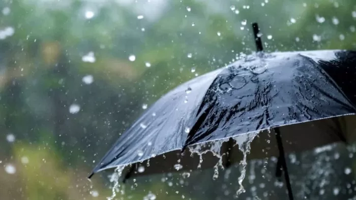 Weather havoc in Punjab: Heavy rain alert in ten districts and 150 villages in seven districts submerged due to water released from Bhakra