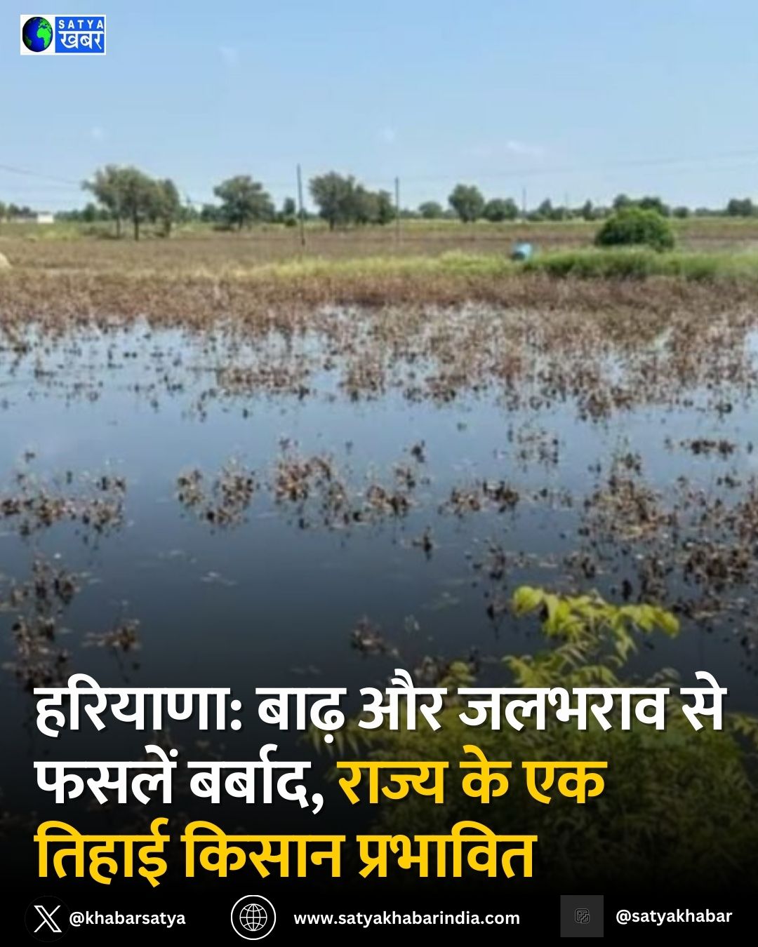 Haryana: ???? ?? ?????? ?? ?????? ??? ????? ?? ??? ???? ??????, ?????? ?? ?? ????? ????? ??? ????????