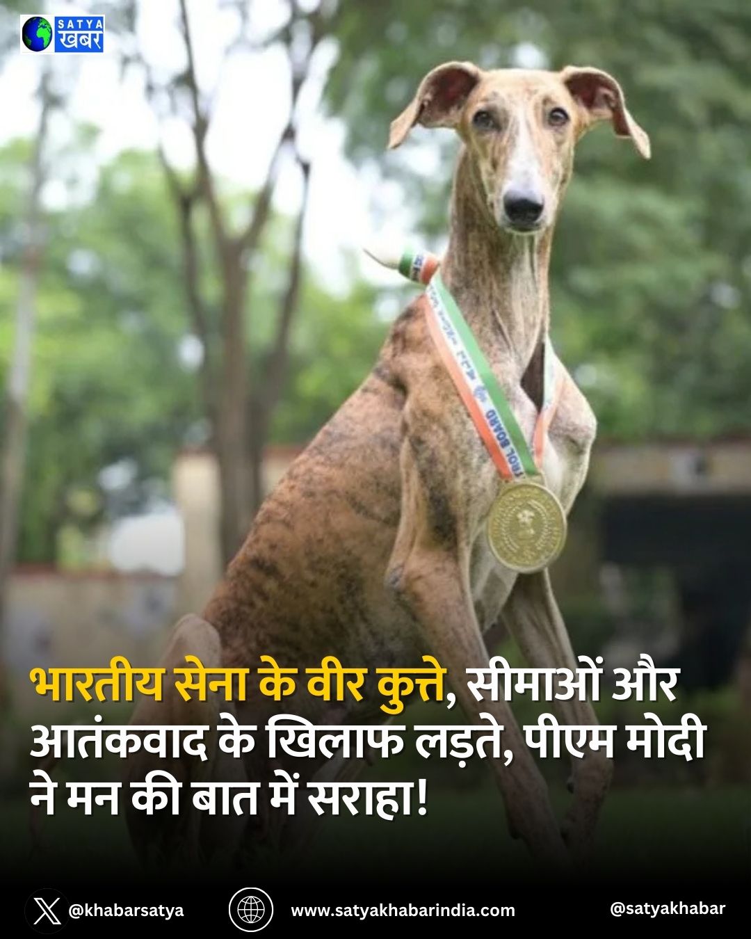 PM Modi in Mann Ki Baat: ?????? ???? ?? ??? ??????, ?????? ?? ??????? ?? ????? ?????, ???? ???? ?? ?? ?? ??? ??? ?????!