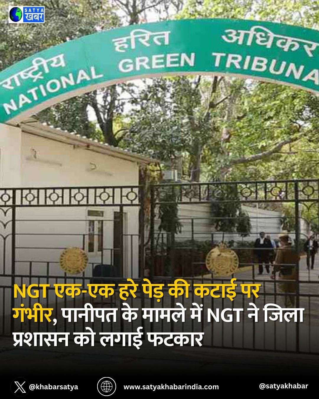 Haryana News: NGT ??-?? ??? ???? ?? ???? ?? ?????, ?????? ?? ????? ??? NGT ?? ???? ??????? ?? ???? ????? 