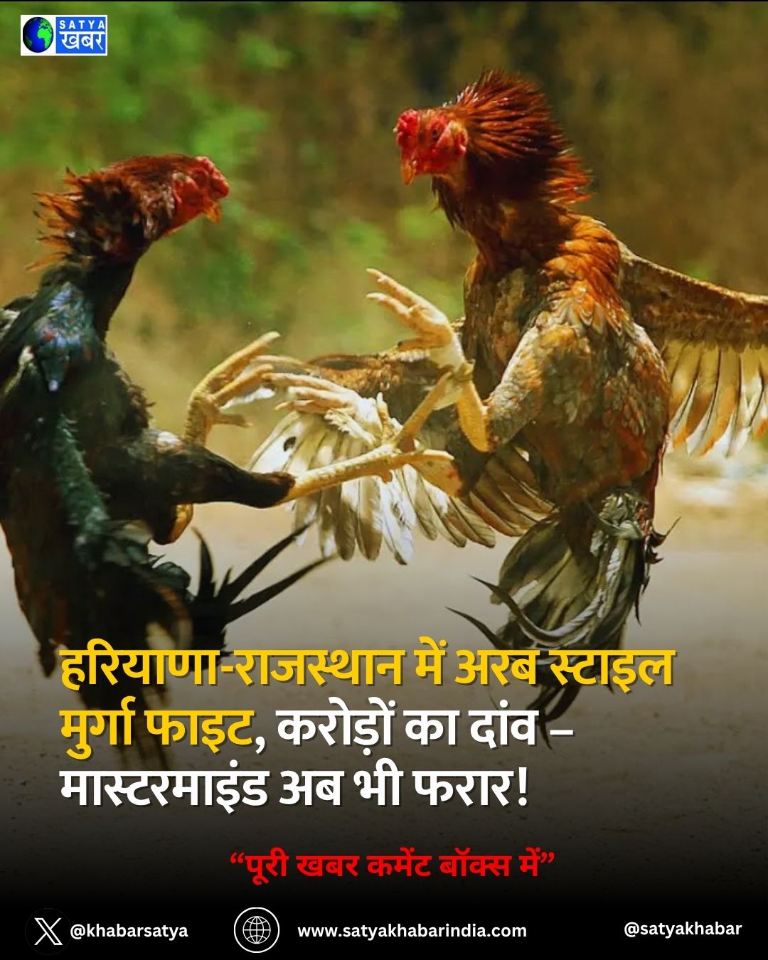 Haryana News: ???????-???????? ??? ??? ?????? ?????? ????, ??????? ?? ???? – ??????????? ?? ?? ????!