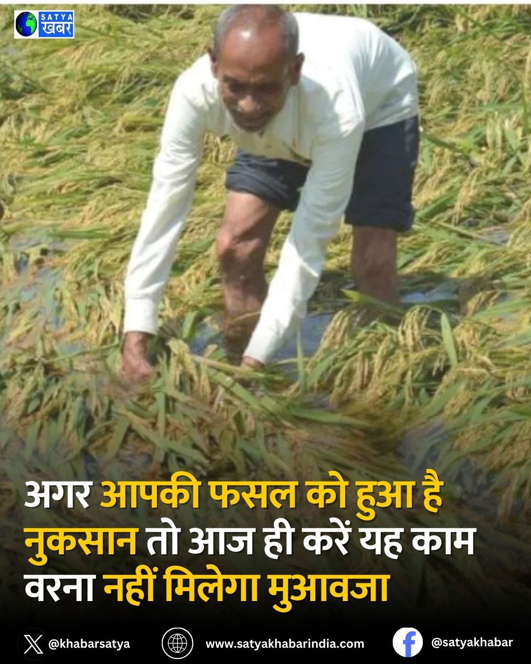 Haryana: ??? ???? ??? ?? ??? ?? ?????? ?? ?? ?? ???? ?? ??? ???? ???? ?????? ??????
