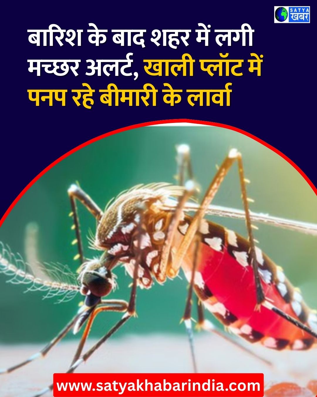 Haryana News: ??? ?? ???? ????? ??? ?????-??????? ?? ????, ????????? ????? ?? ???? ???? ???