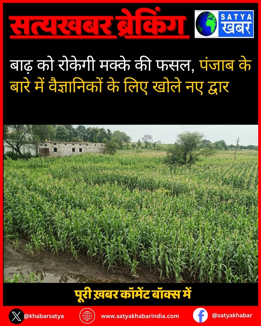 Punjab Floods: ???? ?? ?????? ????? ?? ???, ????? ?? ???? ??? ??????????? ?? ??? ???? ?? ?????