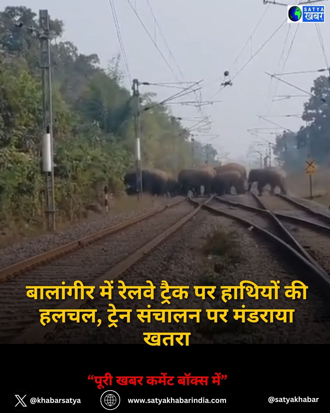 Elephant on Railway track: बालांगीर में रेलवे ट्रैक पर हाथियों की हलचल, ट्रेन संचालन पर मंडराया खतरा