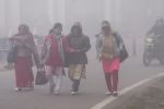 Weather Update: दिल्ली एनसीआर में घनी धुंध, पंजाब हरियाणा में कंपकंपाती ठंड, हिमाचल में बर्फबारी, चार राज्यों में शीतलहर अलर्ट जारी हुआ