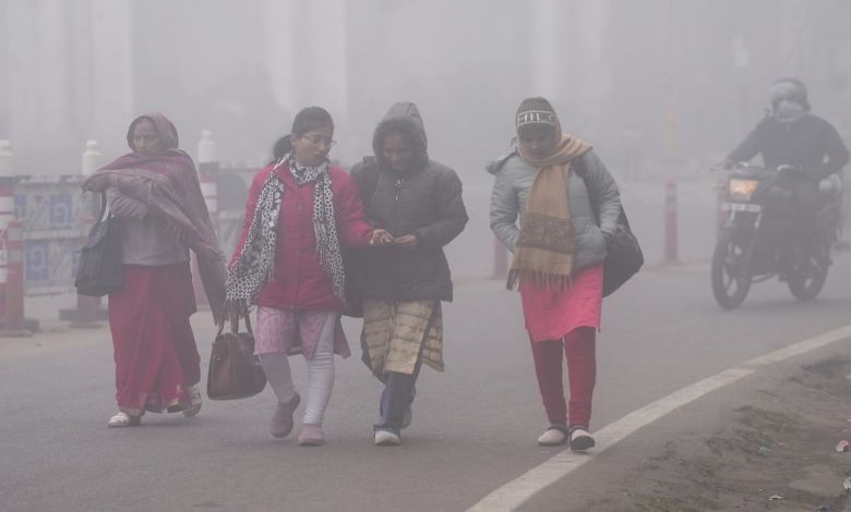 Weather Update: दिल्ली एनसीआर में घनी धुंध, पंजाब हरियाणा में कंपकंपाती ठंड, हिमाचल में बर्फबारी, चार राज्यों में शीतलहर अलर्ट जारी हुआ