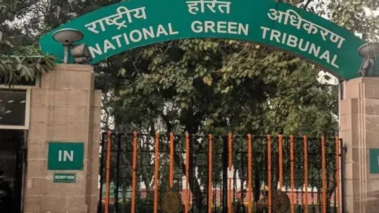 Haryana News: NGT एक-एक हरे पेड़ की कटाई पर गंभीर, पानीपत के मामले में NGT ने जिला प्रशासन को लगाई फटकार